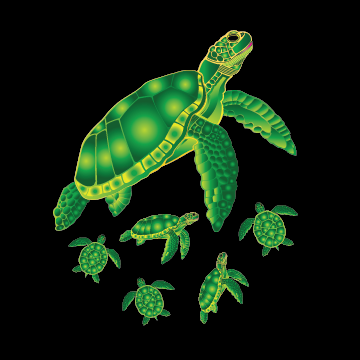 Hawaiian T Shirt - Honu Family